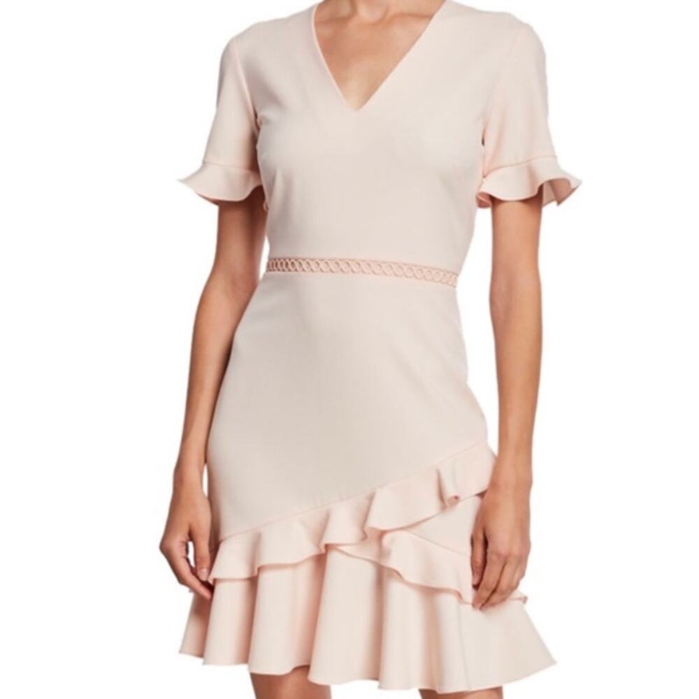 Shoshanna Belleme Blush Pink Dress – Size 4 - Romantic Garden Party
